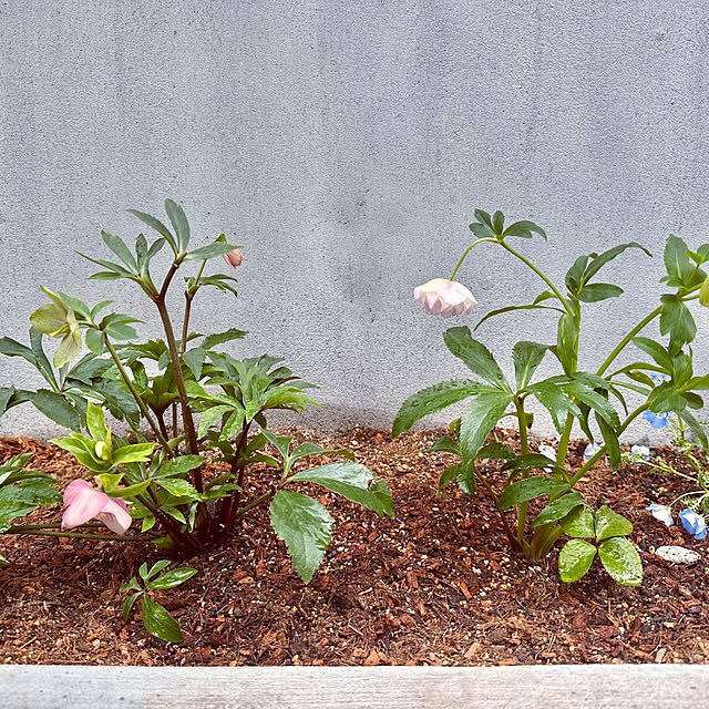 hachiさんの部屋