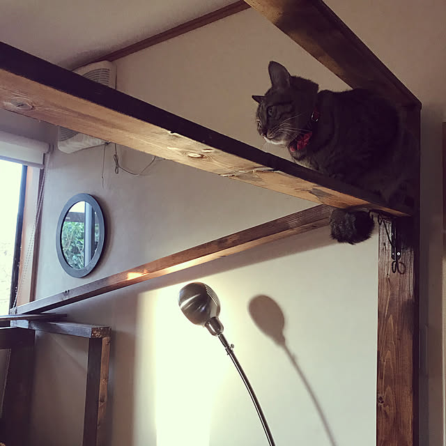 mikan161さんの実例写真