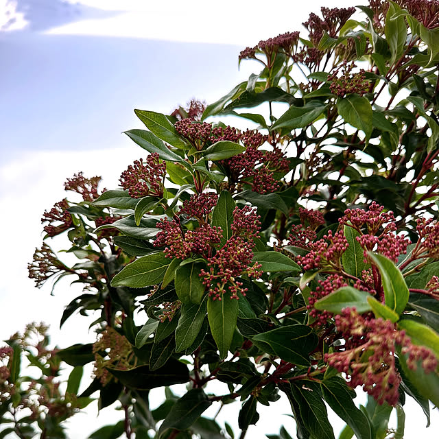 hanahana1444さんの部屋