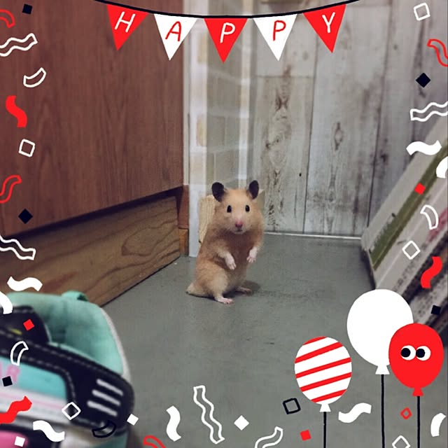 emiさんの実例写真