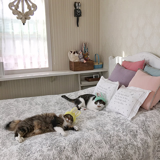 yuchiさんの実例写真