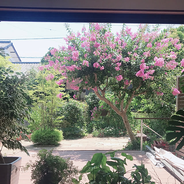 miwarinさんの部屋