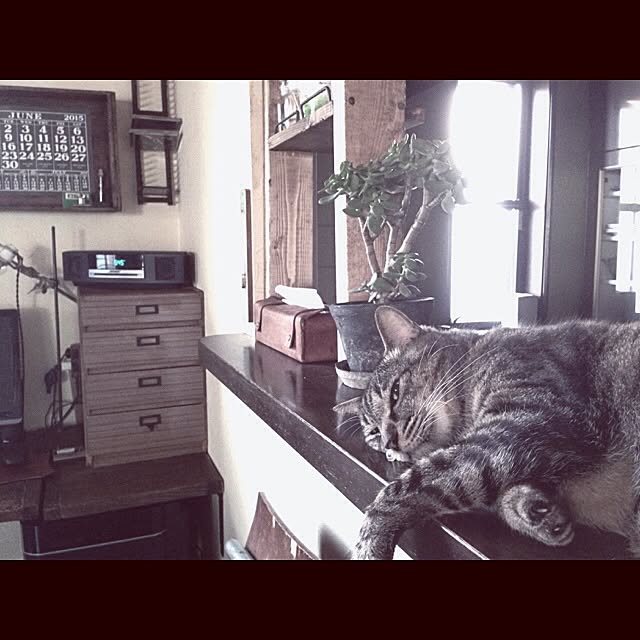 jnkaiさんの実例写真