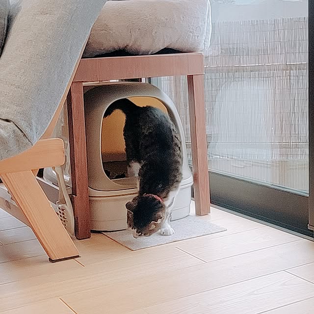 natuさんの部屋