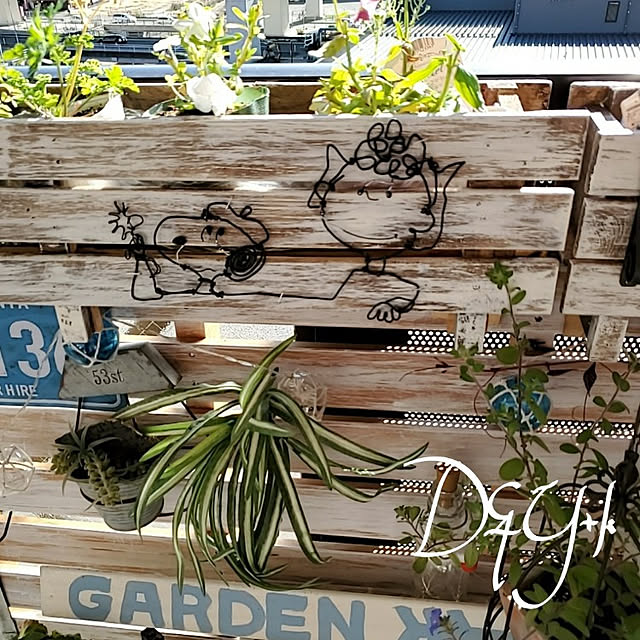DandYkさんの実例写真