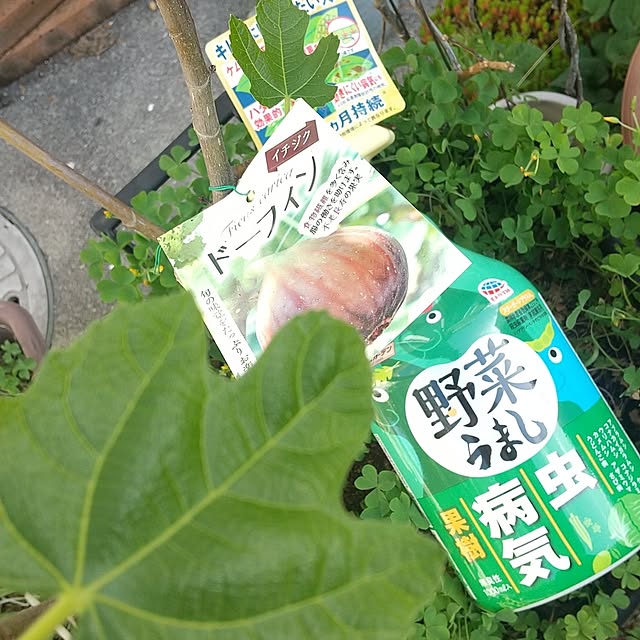 Rさんの部屋