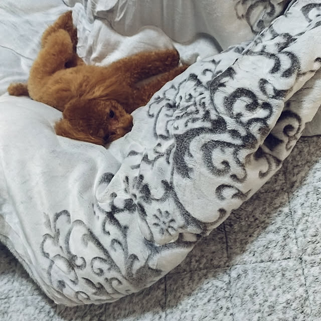 Samさんの実例写真