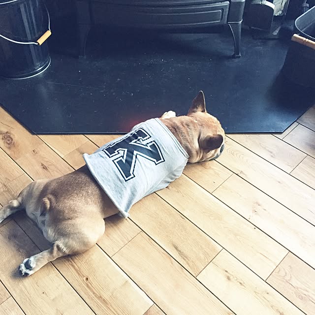 asamiさんの実例写真