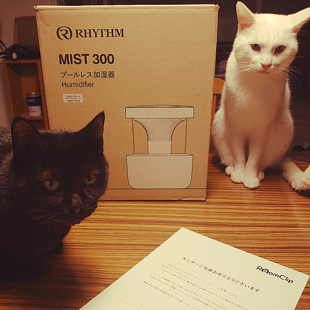 Blackcatさんの実例写真