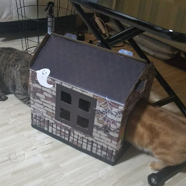 runaさんの実例写真