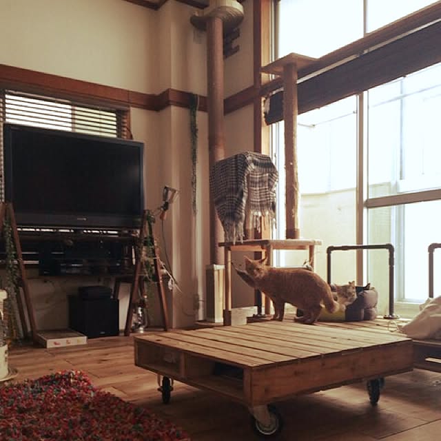 sumisumiさんの実例写真