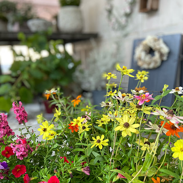 glassflowerさんの実例写真
