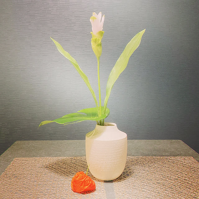 shionshionさんの実例写真