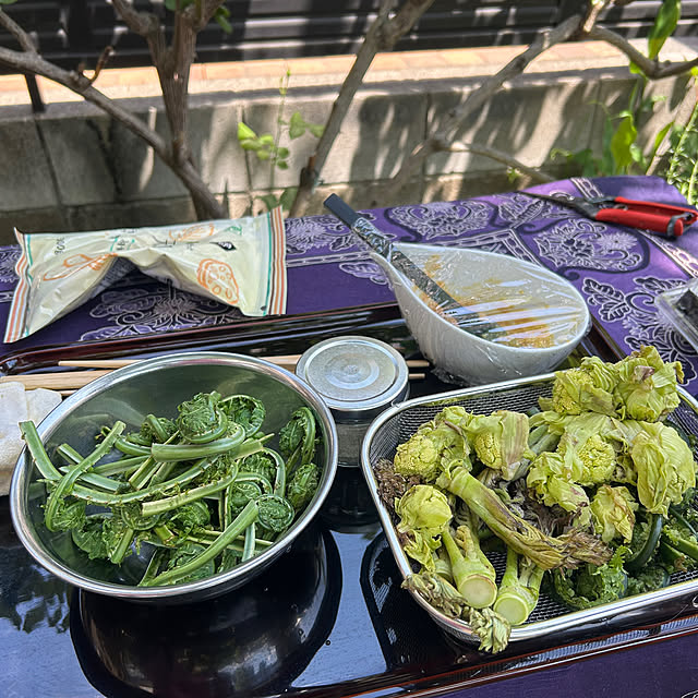botanさんの部屋