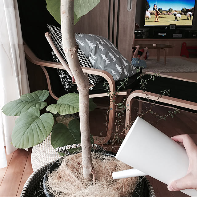 sorasoraさんの実例写真