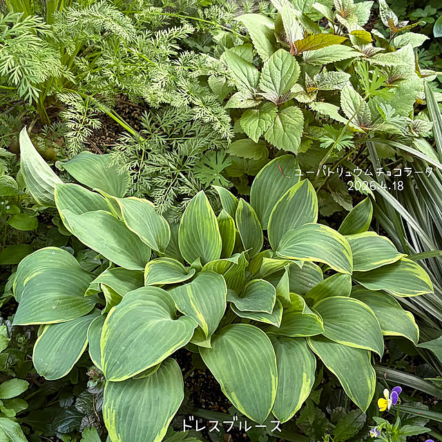 buchiさんの部屋