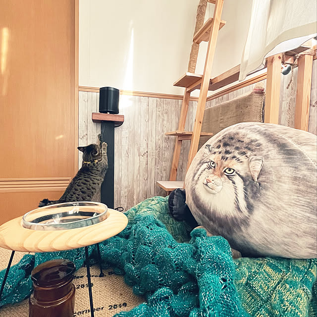 Mさんの実例写真
