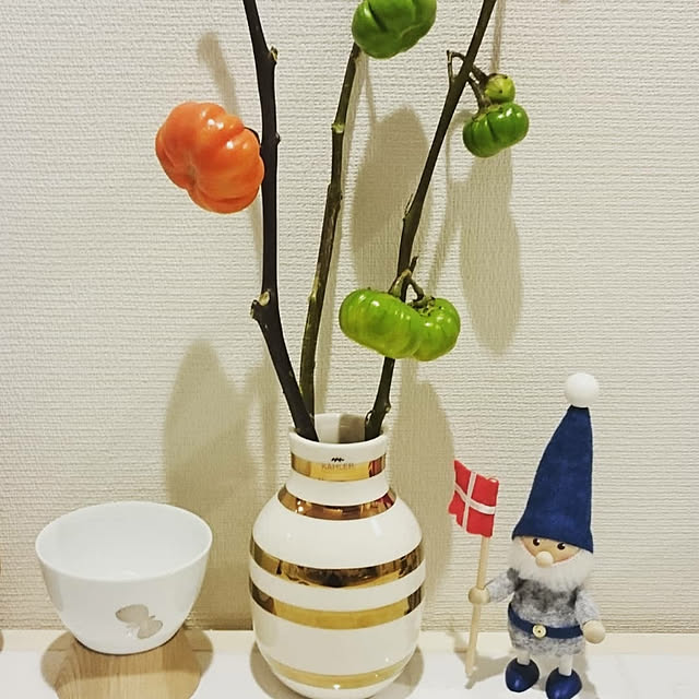 棚のインテリア実例 - 2018-04-18 21:35:23