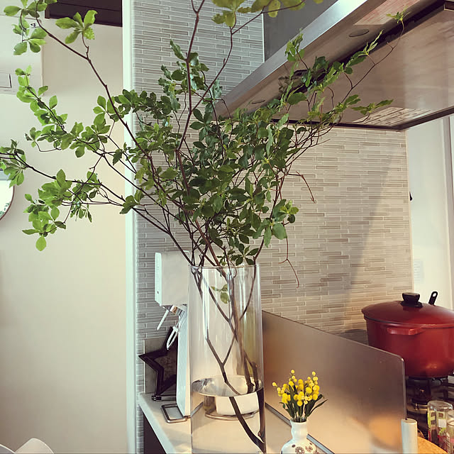 観葉植物/ニトリ/キッチンのインテリア実例 - 2019-07-08 13:04:54