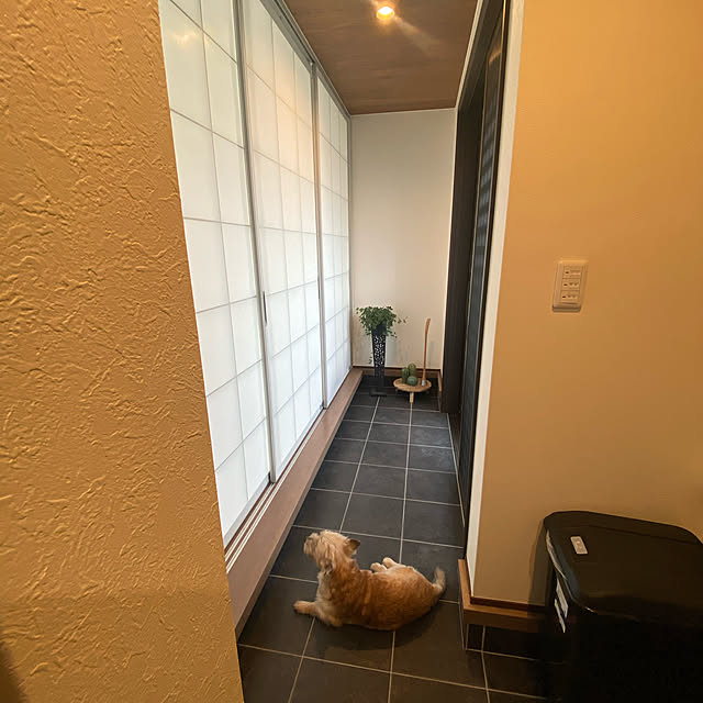 annkareさんの実例写真