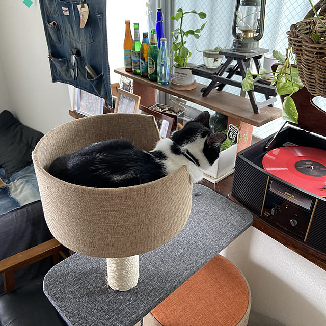 mtaさんの実例写真