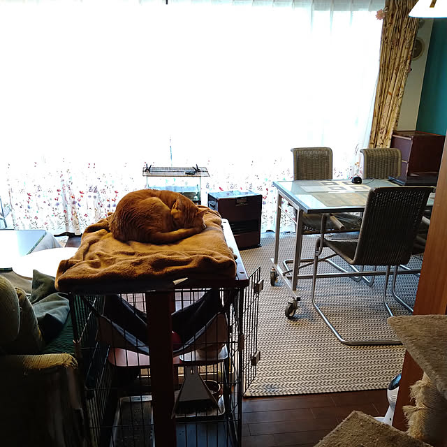 okyosan101さんの実例写真