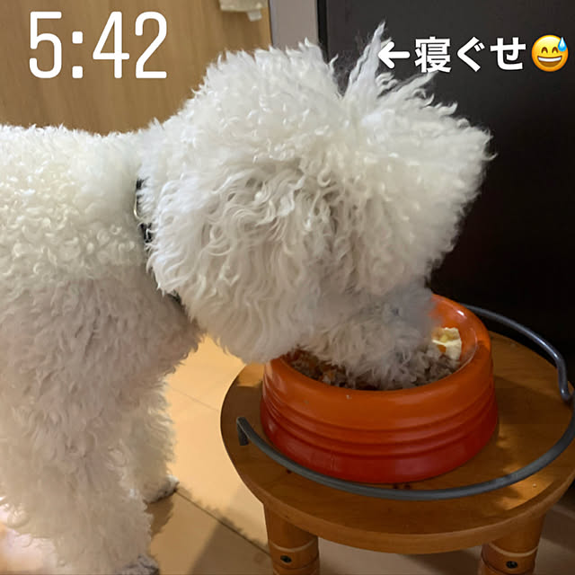 BUNさんの実例写真
