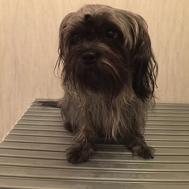 emiさんの実例写真