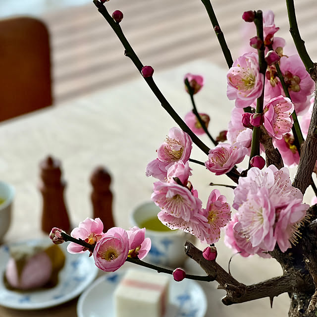 Kikko.さんの部屋