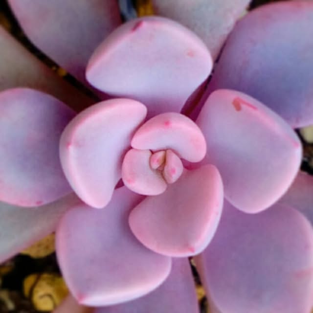 VERANDARJUNさんの実例写真