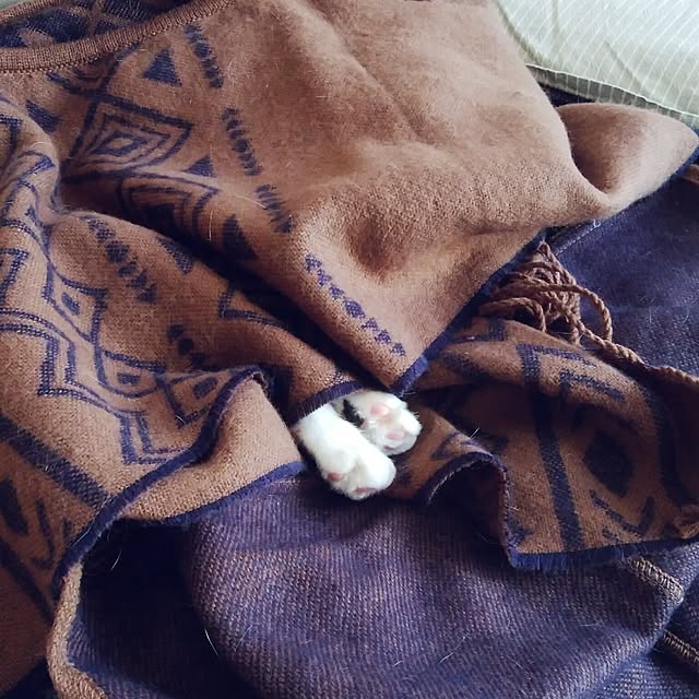 tomo1220さんの実例写真