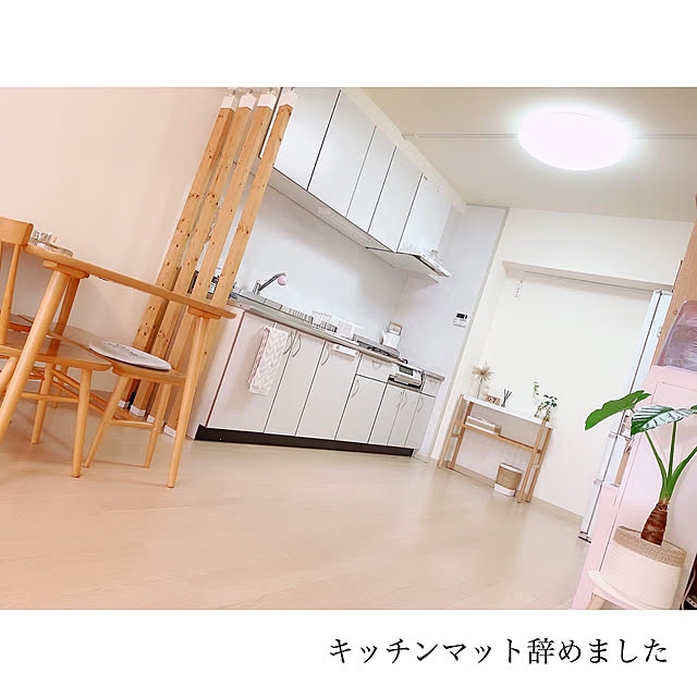 ZARA HOME/団地暮らし/団地インテリア/爬虫類のいる暮らし/IKEA...などのインテリア実例 - 2020-07-10 14:54:09