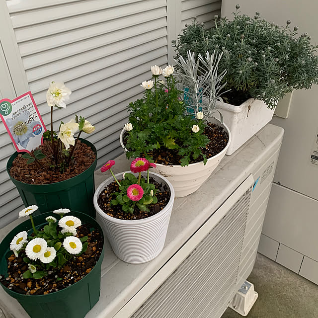 akitsukiさんの部屋