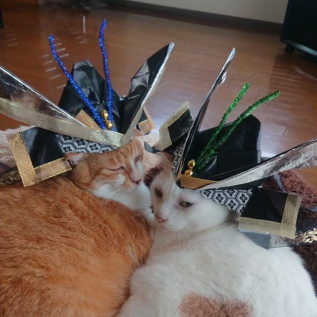 NOAHさんの部屋
