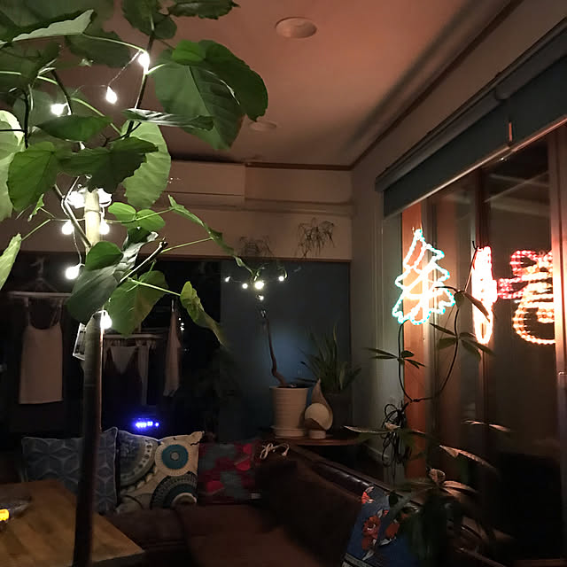 daikichiさんの実例写真