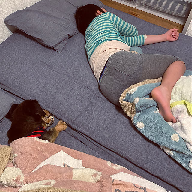 ohanaさんの実例写真