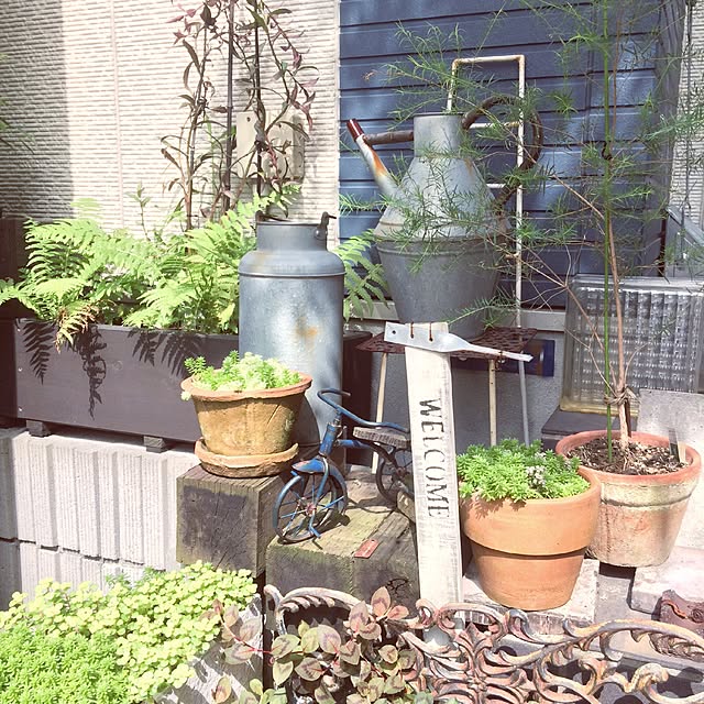 Ruo.さんの実例写真