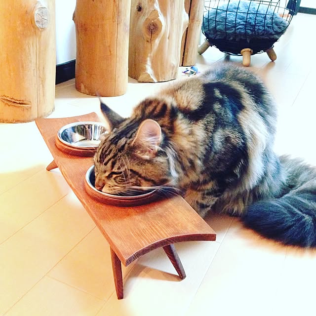 decorameowさんの実例写真
