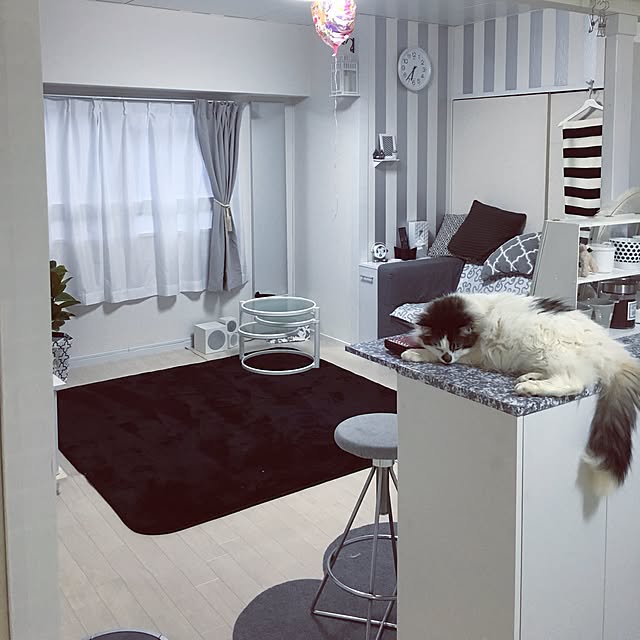 mikaさんの実例写真