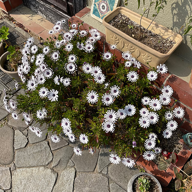 shin0719さんの部屋