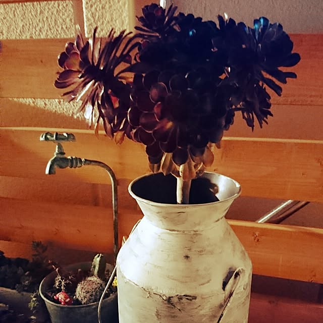 cocosorasakuさんの実例写真