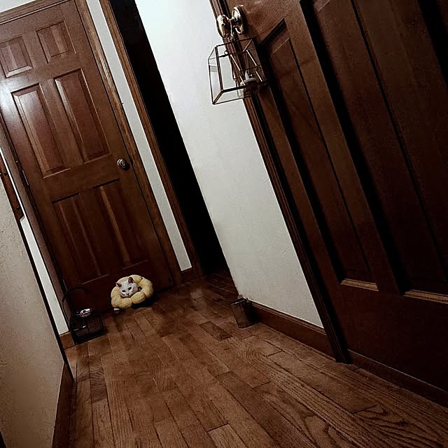 Ohigeさんの実例写真