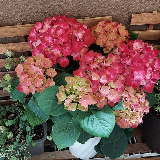 nobuさんの実例写真