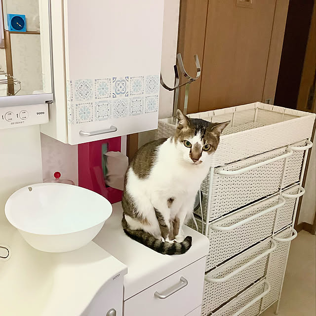 haruminさんの実例写真