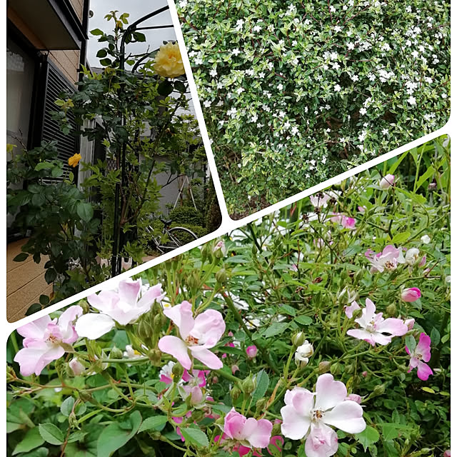 Tomopさんの実例写真