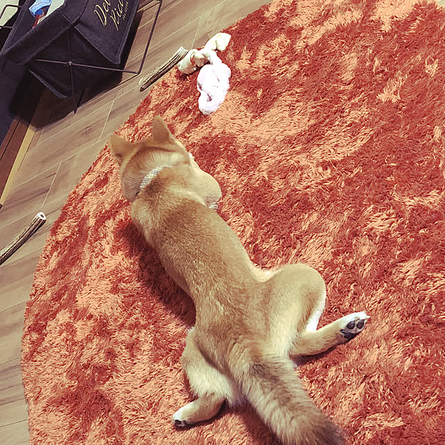 yukaさんの実例写真