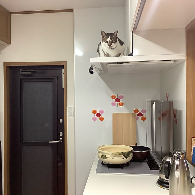 haruminさんの実例写真