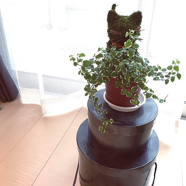 Satokoさんの実例写真