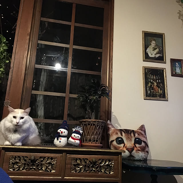 shigimiさんの実例写真