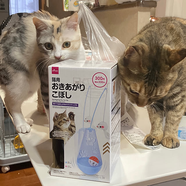 hansho.sさんの実例写真
